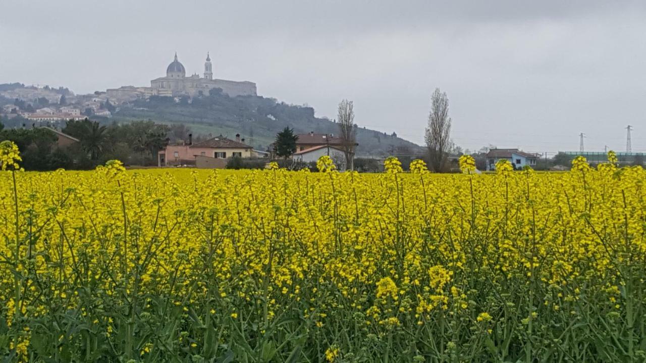 Villetta Del Conero Porto Recanati Buitenkant foto